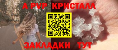 амф Гатчина